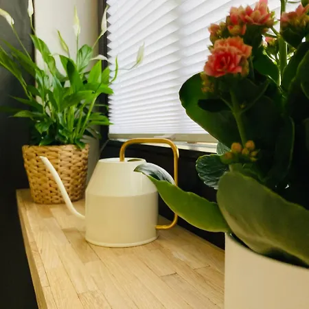 Studioimodernizentrumiwlaniparkplatzidisneyplus * Lübben